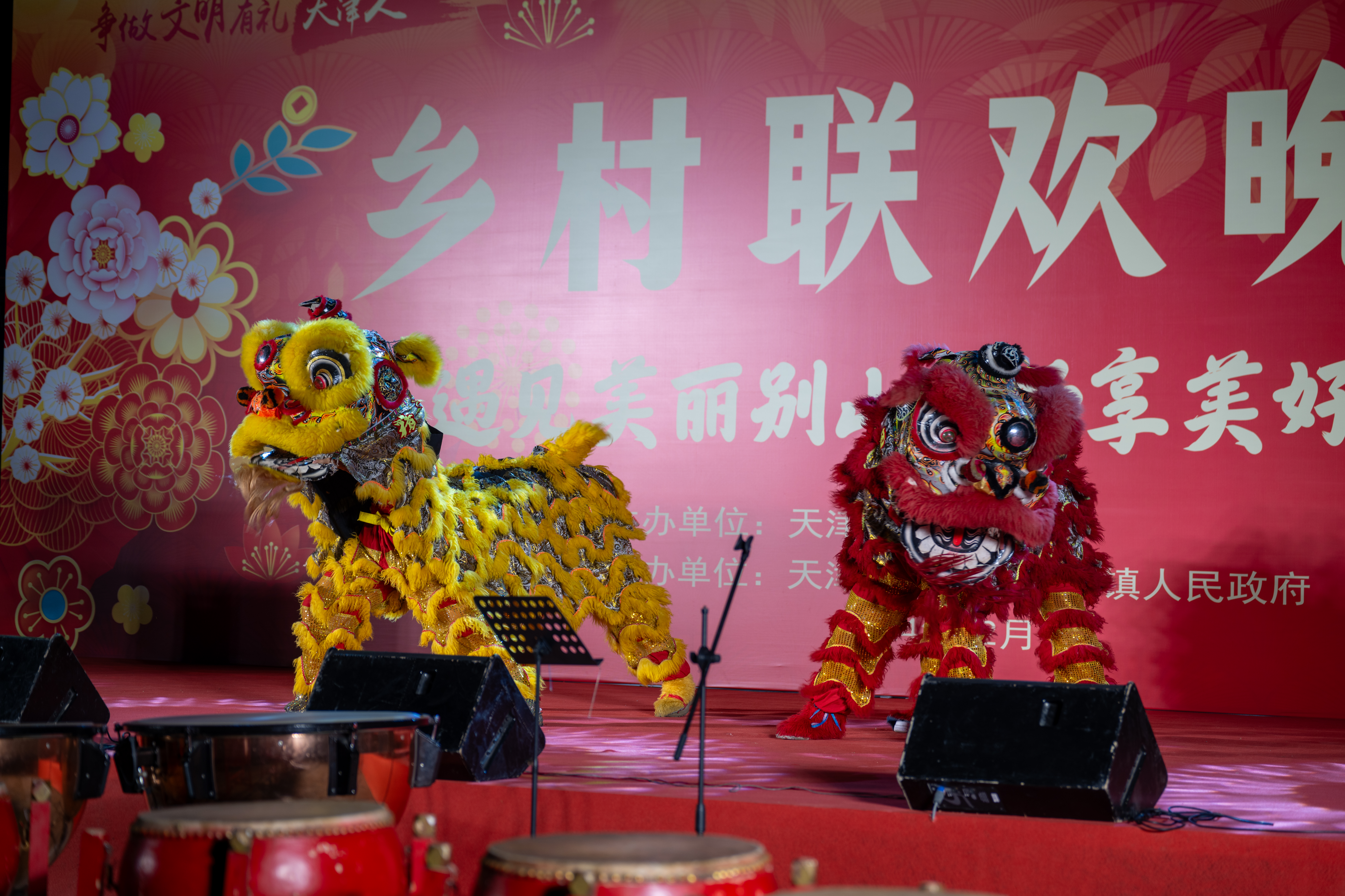 0033990威尼斯赴蓟州区别山镇举办乡村联欢晚会