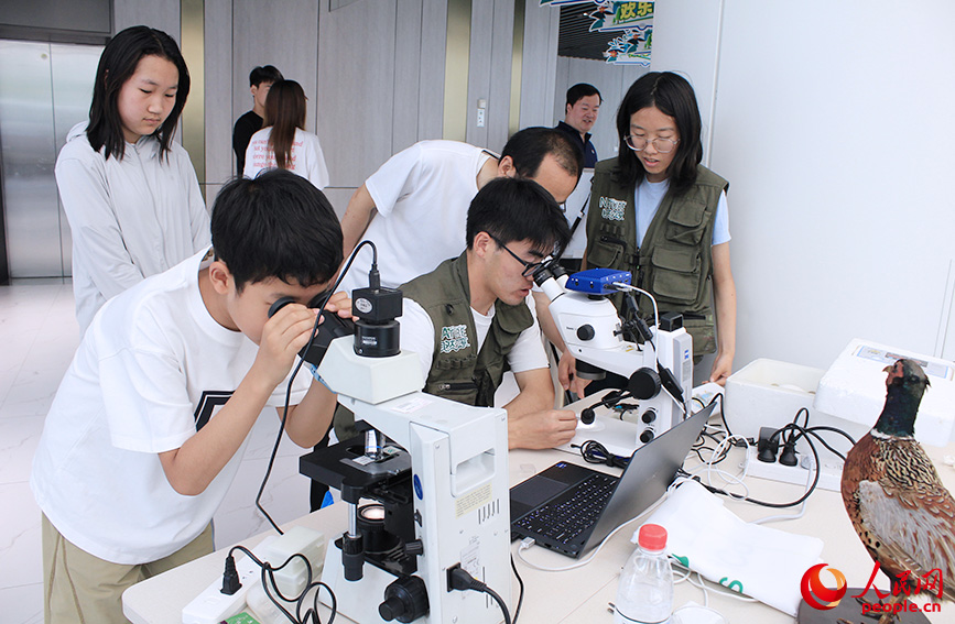 参观者观察动植物标本。人民网记者 张静淇摄